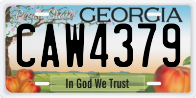 GA license plate CAW4379