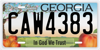 GA license plate CAW4383