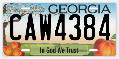 GA license plate CAW4384