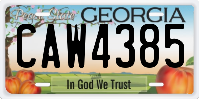 GA license plate CAW4385