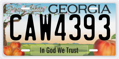 GA license plate CAW4393