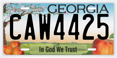 GA license plate CAW4425