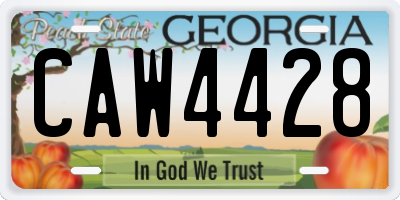 GA license plate CAW4428