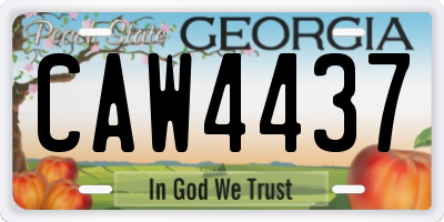 GA license plate CAW4437