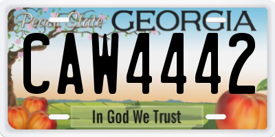 GA license plate CAW4442