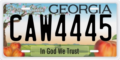 GA license plate CAW4445
