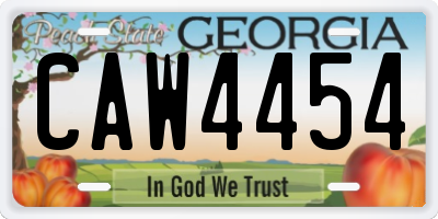GA license plate CAW4454