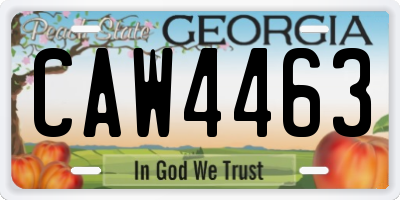 GA license plate CAW4463