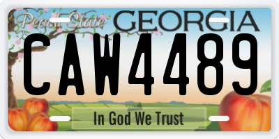 GA license plate CAW4489