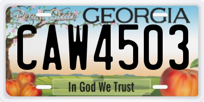 GA license plate CAW4503