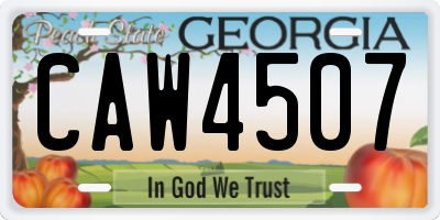 GA license plate CAW4507