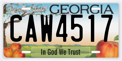 GA license plate CAW4517