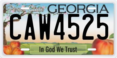 GA license plate CAW4525