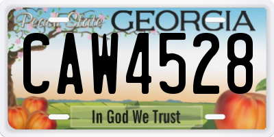GA license plate CAW4528