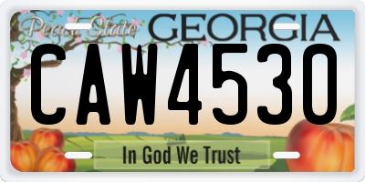 GA license plate CAW4530