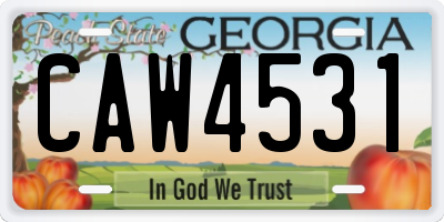 GA license plate CAW4531