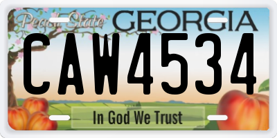 GA license plate CAW4534