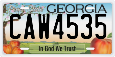 GA license plate CAW4535