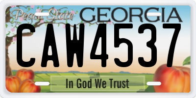 GA license plate CAW4537