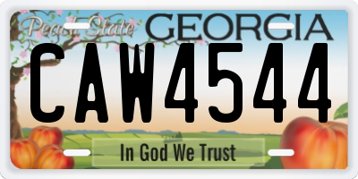 GA license plate CAW4544
