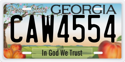 GA license plate CAW4554