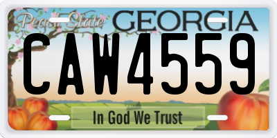 GA license plate CAW4559