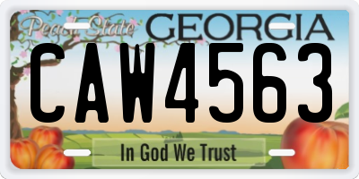GA license plate CAW4563