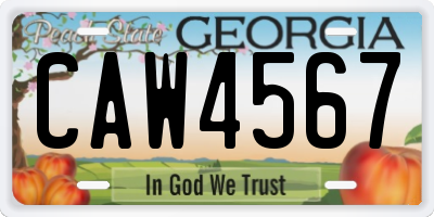 GA license plate CAW4567