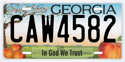 GA license plate CAW4582