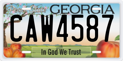 GA license plate CAW4587
