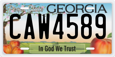 GA license plate CAW4589
