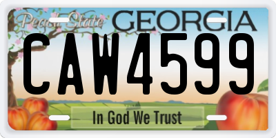 GA license plate CAW4599
