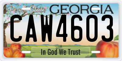 GA license plate CAW4603