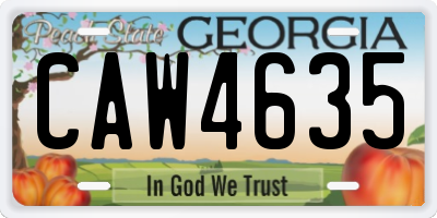 GA license plate CAW4635