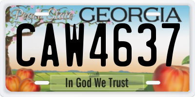 GA license plate CAW4637