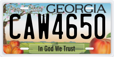 GA license plate CAW4650