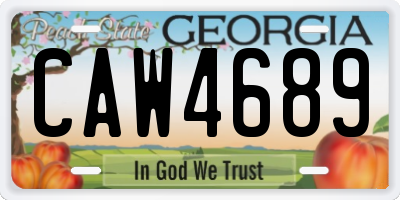 GA license plate CAW4689