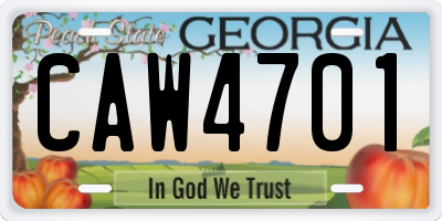 GA license plate CAW4701
