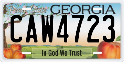 GA license plate CAW4723