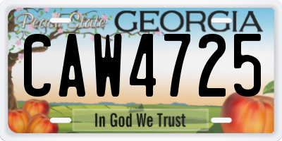 GA license plate CAW4725