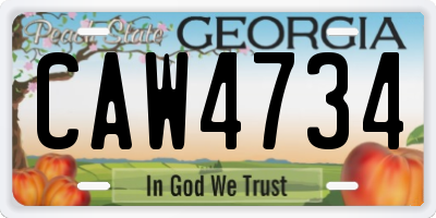 GA license plate CAW4734