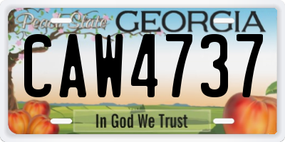GA license plate CAW4737