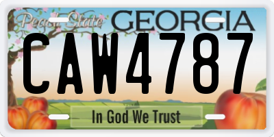 GA license plate CAW4787