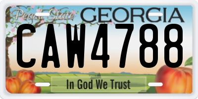 GA license plate CAW4788