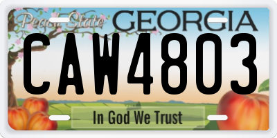 GA license plate CAW4803