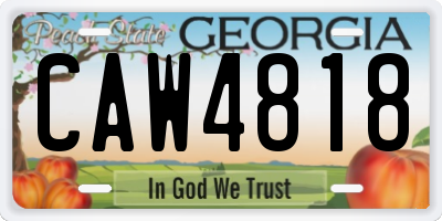 GA license plate CAW4818