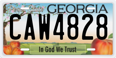 GA license plate CAW4828