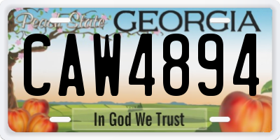 GA license plate CAW4894