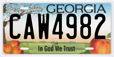 GA license plate CAW4982