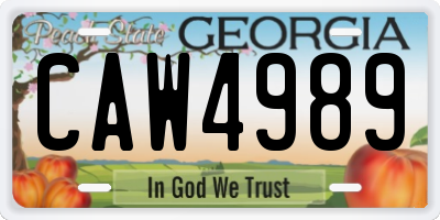 GA license plate CAW4989